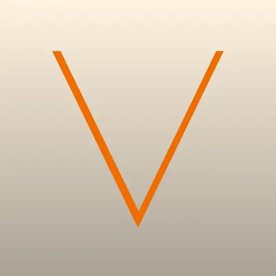 VASTON, сеть печатных салонов, лого-визитка